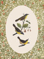 Image Not Available